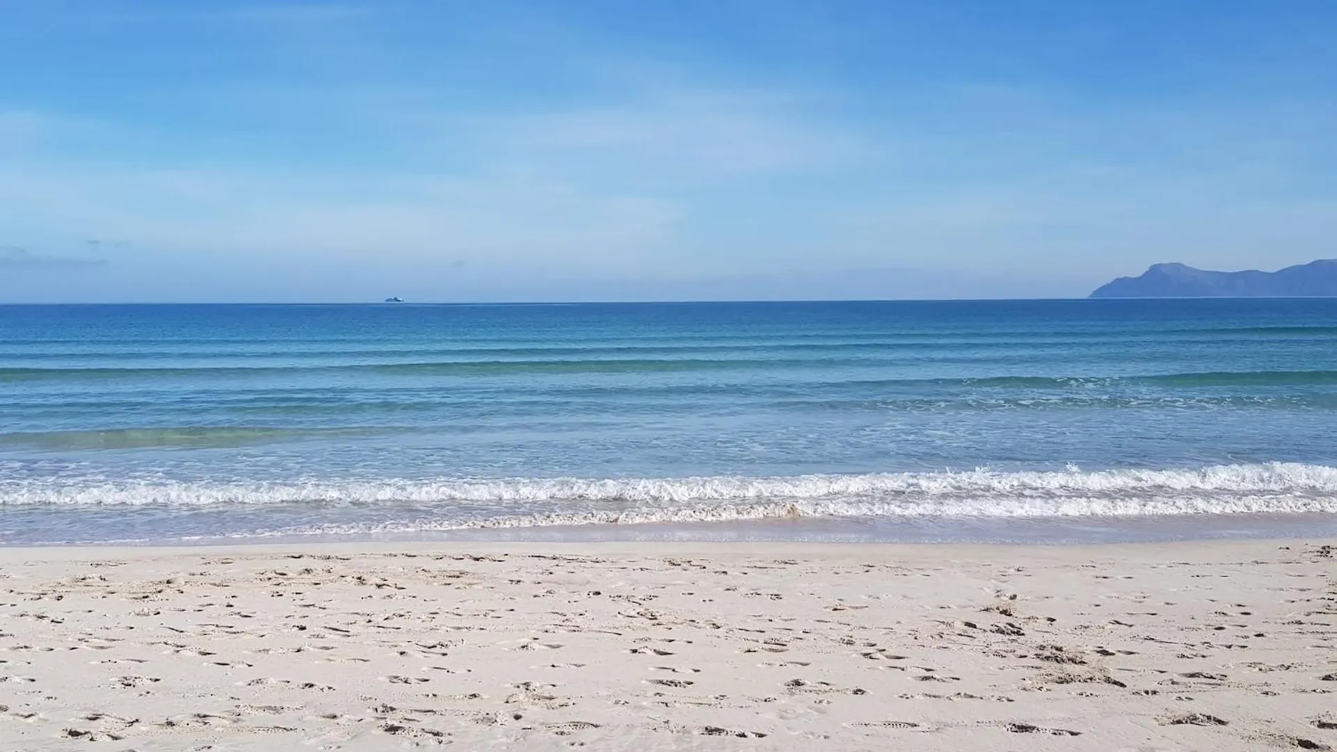 Apartament Ideal Property Mallorca - Primavera Port de Alcudia